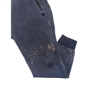 Air Jordan joggers